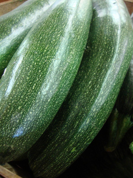 Dovlecel Grey Zucchini (2 g) dovlecel soi timpuriu, miez alb, gustos, Agrosem