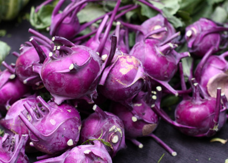 Gulie Purple Vienna (300.000 seminte), seminte gulie violet, marime medie, Agrosem
