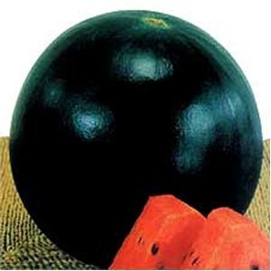 Huelva F1 (1000 seminte) pepene Verde Hibrid Extratimpuriu, Rijk Zwaan