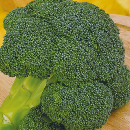 Ironman F1 (1000 seminte) broccoli semitimpuriu, Seminis