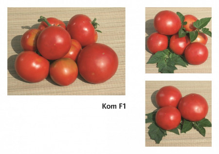 KOM F1 - 1000 Seminte de Rosii Bulgaresti Profesionale, Geosem