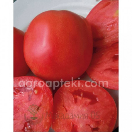 Kruna - 1 gr - Seminte de Tomate Timpurii Determinate Roze pentru camp de la Superior Serbia
