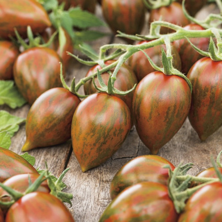 Melange F1 (5 seminte) rosii cherry extra timpurii, fructele mici de 25–40 g cu coaja subțire, de rosu închis cu dungi verzi, foarte gustoase si aromate, Seklos