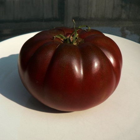 Negre de Crimeea (Black Krim) – 0.5 gr - Seminte Tomate Negre cu Crestere Nedeterminata Black Krim Negre de Crimeea Extratimpurii de la Opal