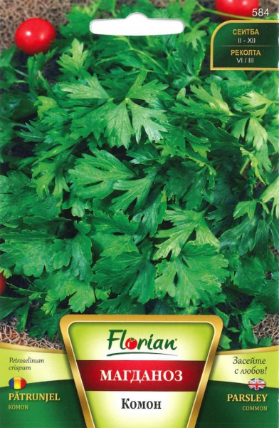Patrunjel Comon - 100 gr - Seminte de Patrunjel Comon Soi Foarte Productiv de la Florian