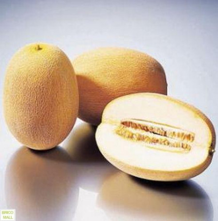 Pepene Galben Ananas (250 seminte) pepene galben Miez Zemos Dulce, Agrosem