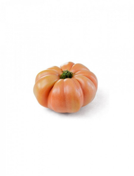 Rosamei F1 (250 seminte) tomate roz nedeterminate, marime medie, internoduri scurte si fructe striate, 220-240 gr, Fito Semillas
