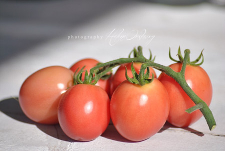 Rosii Pink Thai Egg - 0.2 gr - Seminte Rosii Roze in forma de Ou de la Florian