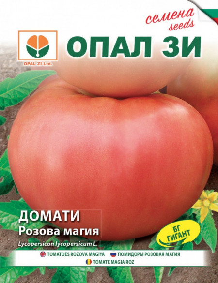 Rosii Rozova Maghia (1 gr) Seminte rosii Magie Roz, Soi Gigant Bulgaria, Opal