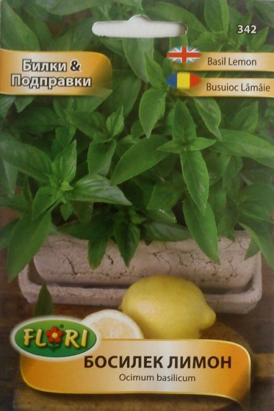 Seminte busuioc lamaie Medicinal (1 gr), Seminte Plante Medicinale Busuioc Lamaie, Florian