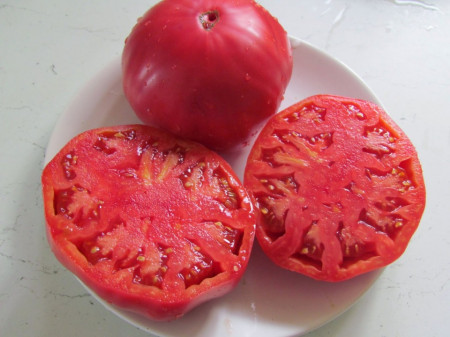 Seminte tomate Rozov Blyan Vis Roz (1 gr), crestere nedeterminata semitimpurii, Florian Bulgaria