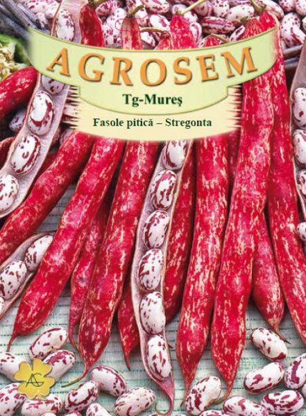 Stregonta (180 gr) seminte de fasole pitica pentru boabe, culoare tarcata, soi romanesc, Agrosem
