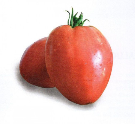 Sweetheart (50 seminte) rosii semitimpurii in forma de inima, Agrosel