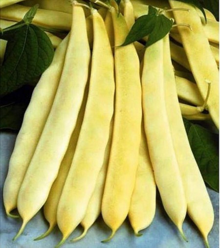 Auria Bacaului (30 gr) seminte de fasole urcatoare galbena cu pastaie lata, Agrosem