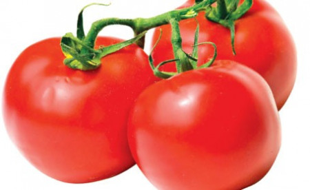 Fair Lady F1 - 1000 sem - Seminte de rosii crestere determinata cu fructe mari ferme forma rotunda avand o greutate medie de 230 de grame de la United Genetics