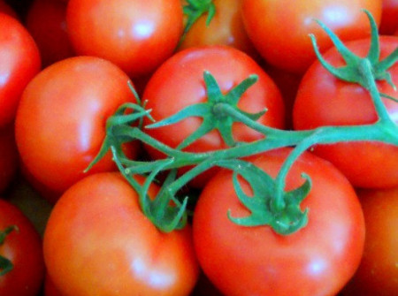 Gardel F1 (20 seminte) tomate cu randament ridicat, cu o calitate si un gust excelente, Seminis