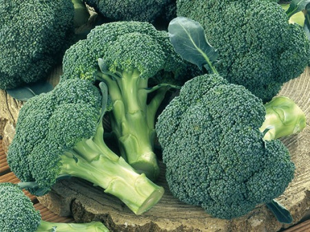 Ironman F1 (1000 seminte) broccoli semitimpuriu, Seminis