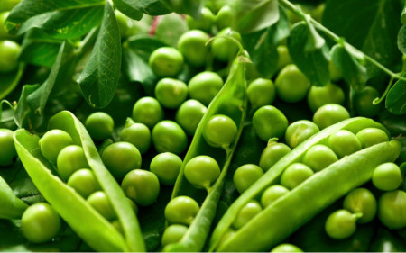 Oltena (50 grame) mazare pastai lungi, gust placut, Agrosel