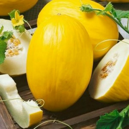 Pepene galben Yellow Canary (50 seminte) pepene galben miez alb, zemos, aroma deosebita, Agrosem