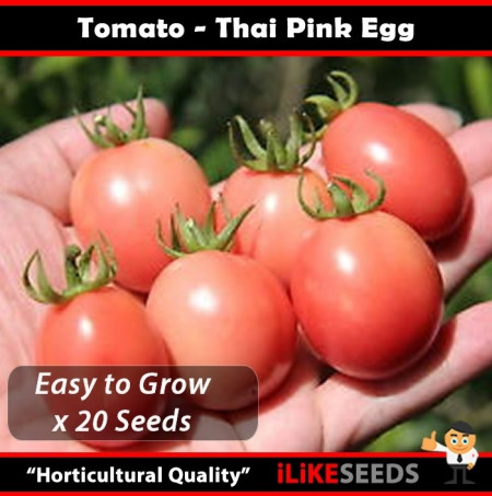 Rosii Pink Thai Egg - 0.2 gr - Seminte Rosii Roze in forma de Ou de la Florian