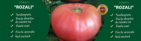 Rozali - 10 gr - Seminte de Tomate Roze Mari Nedeterminat Semitimpuriu tip Gigant cu tulpina inalta de la Florian Bulgaria