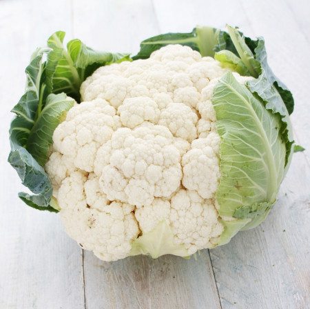 Seminte conopida Snowball X (1 kg), soi semitimpuriu capatana mare, Hortus Simenti