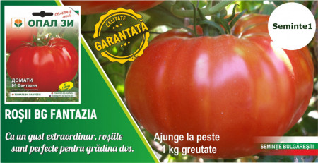 Seminte rosii Fantezia (Fantazia), 60 seminte de tomate tip gigant soi nedeterminat semitimpuriu, Opal Bulgaria