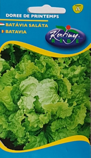 Seminte salata Doree de printemps (2 gr), salata batavia, Kertimag