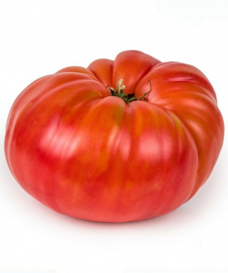 Belmonte (300 seminte) tomate tip gigant cu crestere nedeterminata tip Beef