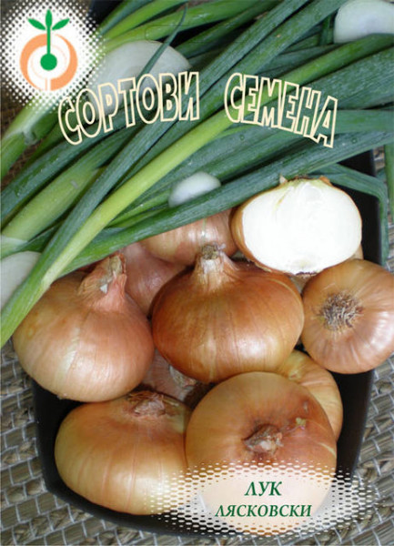 Ceapa LIASKOVSKI - 2 gr - Seminte de Ceapa soi bulgaresc Florian Bulgaria