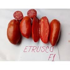 Etrusco F1 - 100 sem - Seminte de rosii alungite nedeterminate de tip Cornul Caprei productie ridicata foarte lungi si cu aroma deosebita de la Isi Sementi