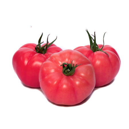 Gusto Pink F1 162-334 F1 (500 seminte) de tomate nedeterminate cu forma globulara cu nervuri si culoare roz atractiv, Yuksel