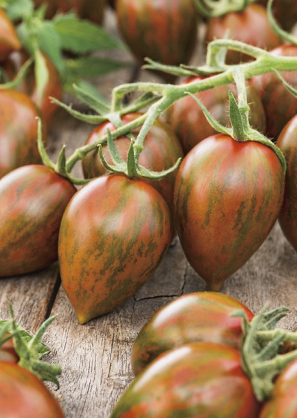 Melange F1 (5 seminte) rosii cherry extra timpurii, fructele mici de 25–40 g cu coaja subțire, de rosu închis cu dungi verzi, foarte gustoase si aromate, Seklos