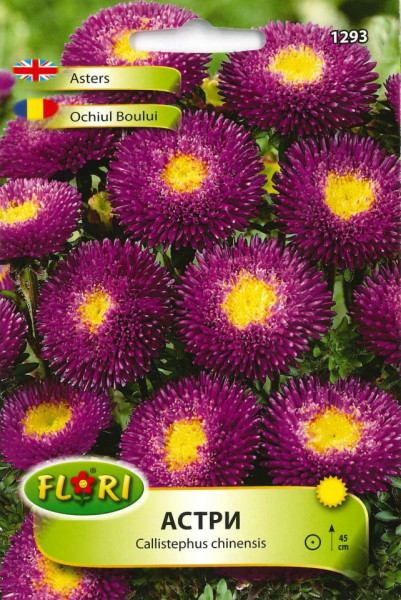 Ochiul Boului Mov cu Galben - Seminte Flori Ochiul Boului de la Florian