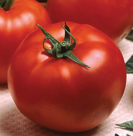 Optima F1 (15 seminte) tomate crestere nedeterminata semitimpurii, Seminis