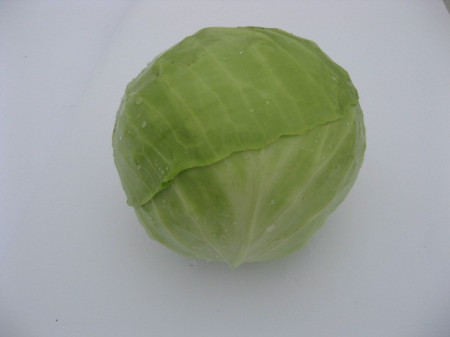 Paldiner (2500 seminte) de varza alba extratimpurie, capatana rodunda 1.5 - 1.7 kg, IZK Bulgaria