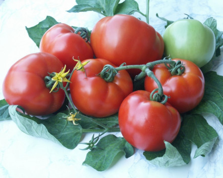 Parris F1 (50 seminte) tomate extratimpurii Parris F1, Geosemslect Bulgaria