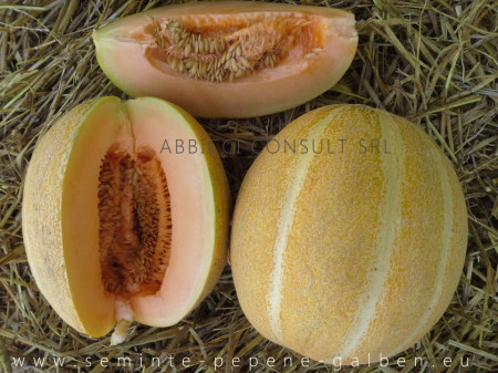 Perla F1 - 5 gr - Seminte Pepeni Galbeni bulgaresti profesionale