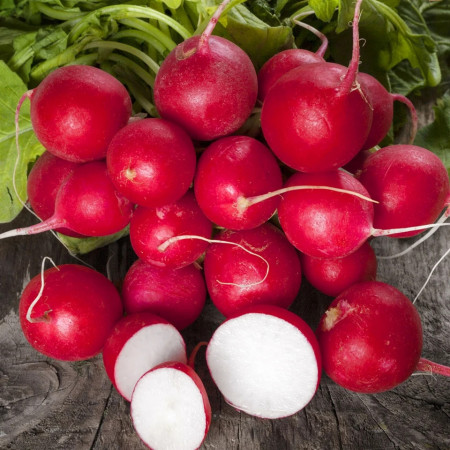 Ridichi de luna Cherry Belle (750 seminte) ridichi de luna fragede, crocante, Agrosem
