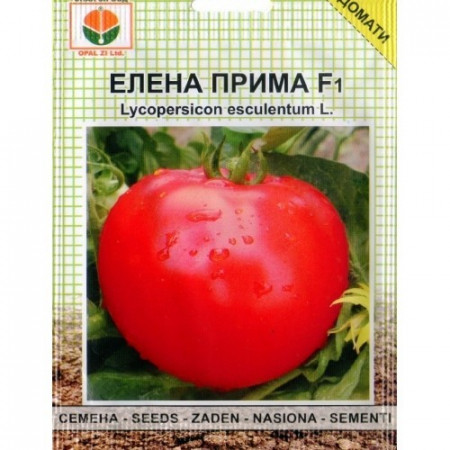 Rosii Elena Prima F1 - 5 gr - Seminte tomate determinate semitimpurii