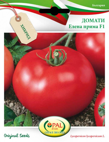 Rosii Elena Prima F1 - 5 gr - Seminte tomate determinate semitimpurii