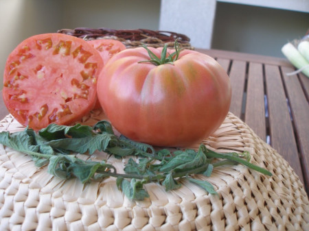 Seminte tomate Ideal Roz (0.2 gr), Rozov Ideal, soi nedeterminate semitimpurii, Opal