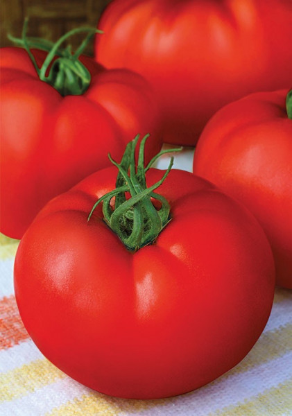 Stara Mechta F1 (Dorinta Veche), 1000 seminte, seminte tomate crestere nedeterminata semitimpurii, Florian Bulgaria