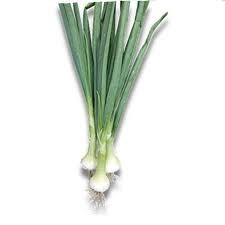 Tipika (100 gr) seminte de ceapa verde ce se face remarcata prin faptul ca este flexibila datorita posibilitatii de semanat direct si bulb de marime medie foliaj drept forma cilindrica de culoare verde inchis atractiv, ISI Sementi