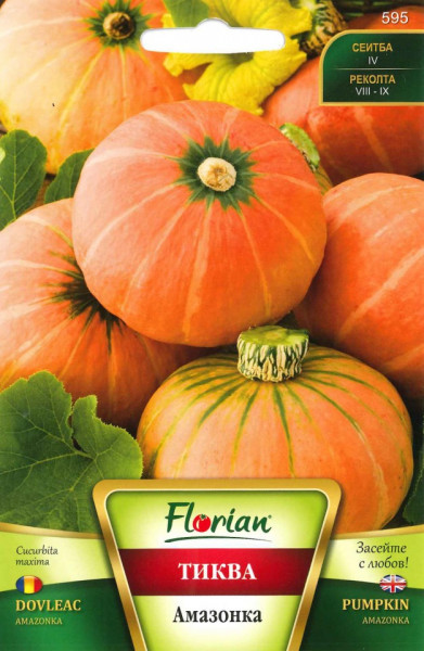 Dovleac AMAZONKA - 2 gr - Seminte de Dovleac potrivit pentru cultivarea in gradini mici