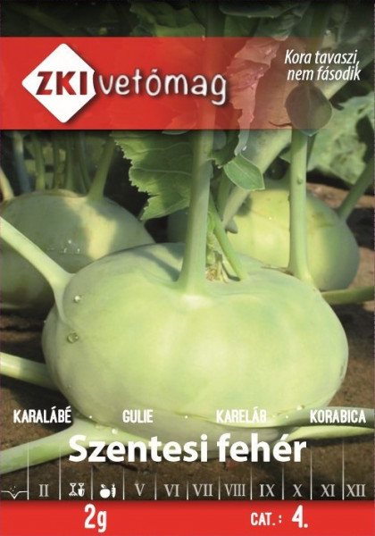 Gulie Szentesi Feher (500 seminte) gulioare atractive, rezistente la crapare, ZKI