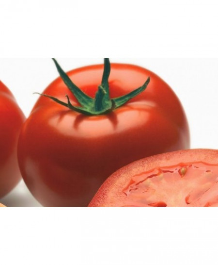 Logure F1 - 100 sem - Seminte de tomate cu fructe putin aplatizate si un invelis de culoare rosu aprins foarte gustoase si suculente de la Rijk Zwaan