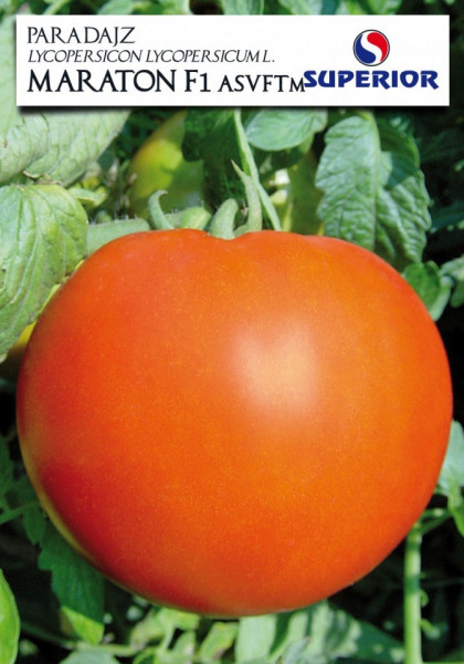 Maraton F1 (1 gr) seminte rosii hibrid nedeterminat, Superior Seeds Serbia
