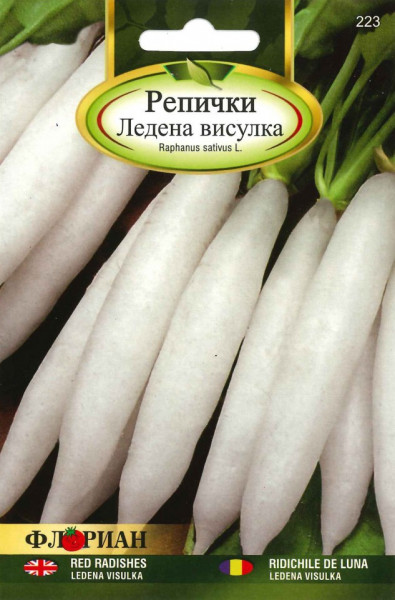 Ridichi de luna LEDENA VISULKA - 5 gr - Seminte de Ridichi Albe Lungi