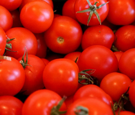 Rosii Red Cherry, (100 seminte) tomate cherry rosii soi timpuriu, crestere nedeterminata, Agrosem